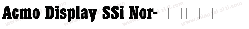 Acmo Display SSi Nor字体转换